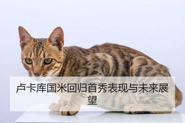 卢卡库国米回归首秀表现与未来展望